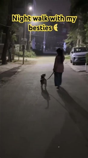 Walking with Mummy ✨ Our Aesthetic Night Routine 🌙🐾 #Shorts #Beagle #CharlieBella #DogLover #Viral