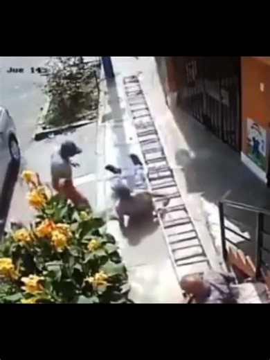 Ladder Fails 13