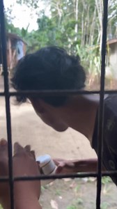 57K views · 1.6K reactions | Sainin bang kew gey katagaran #followerseveryonehighlights #fypviralシ #followers | Nelson Jhapz | Facebook