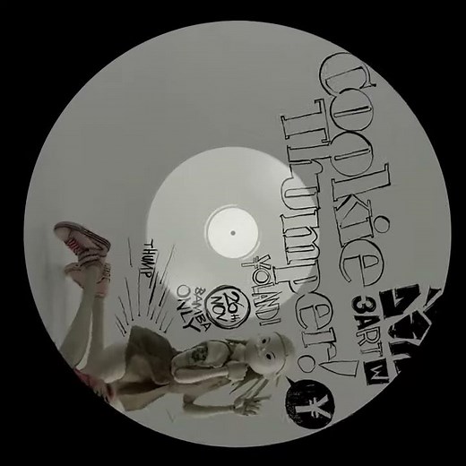 DIE ANTWOORD - Cookie Thumper (IEvolution remix)