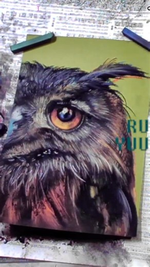 フクロウの描き方詳細プロセス / Detailed Owl Illustration Process