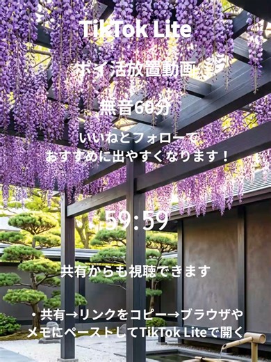 4月5日の誕生花：フジとその花言葉