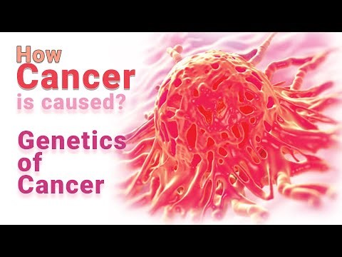 How Cancer is Caused | Genetics & Molecular Basis of Cancer