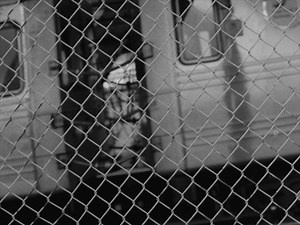 AUTUMN IN NEW YORK NEW COLLECTION AVAILABLE NOW 🔗mcs.com | mcs