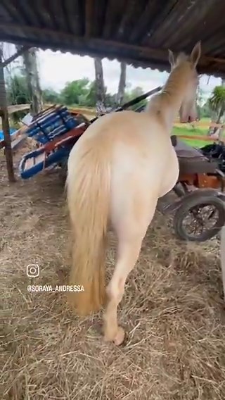 Eu já estava chorando, THOR, seu FDP!