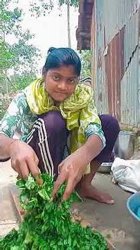 আজকে রান্না করবো পাটশাক #youtube #blog #video