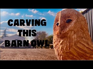 Barn Owl Chainsaw carving - This was difficult to CARVE