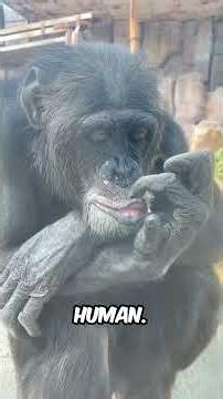 5 Creepiest Animal Smiles That Mean You’re About To Get Attacked #Animals #Nature