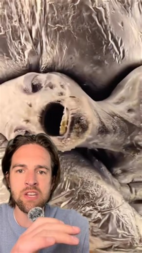 Scott Whitehead on Instagram: "Archeological discovery in Guatemala #alien #ancient #uap #fyp #foryou #foryoupage"