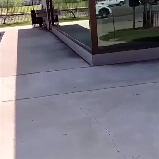 First Amendment Hero Saves Young Men From Being Targeted by Cops | We Support Democracy