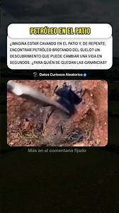 ¿Qué Haría Usted Si Fuera Con Usted? #curiosidades #misterios