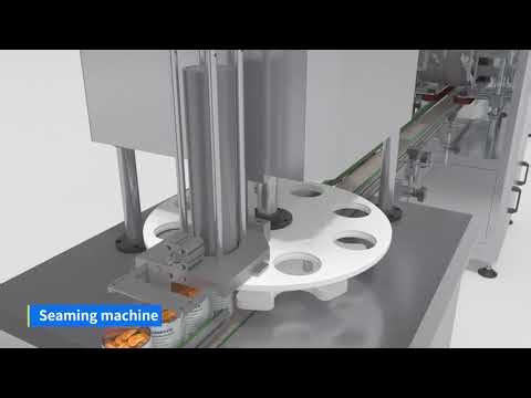 Automatic Fruit Canning Line for Mixed Fruit & Syrup Filling