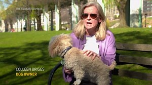 Careless NY stoners poisoning other people's dogs