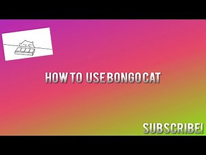 How To Use Bongo Cat