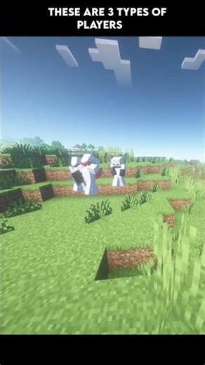 There Are Three Types of Minecraft Players 😂 | Minecraft Shorts #minecraftshorts