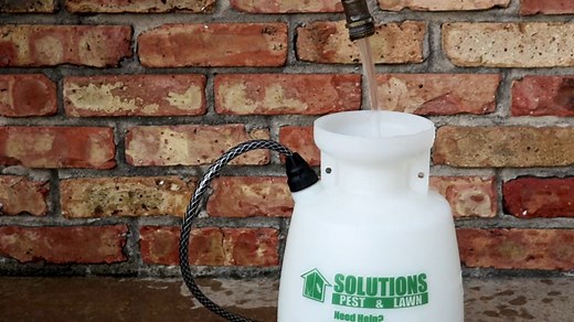 How To Treat Dollar Spot Fungus (Lawn Disease) - Lawn Phix