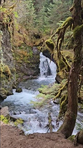 Virgin Creek Falls/Winner Creek Gorge Trail in Girdwood! #alaska #easyhike #chasingwaterfalls