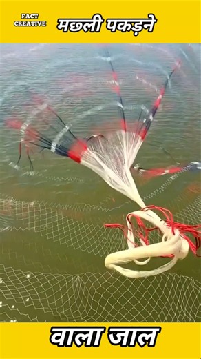Fishing net 🥅