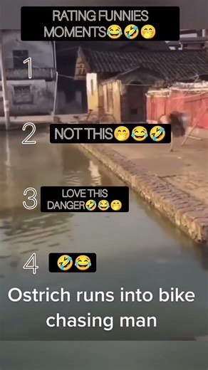 ranking funny chasing moments 😂🤣🤭🤣|Subscribe| #shorts #funny #ranking #funnymoments