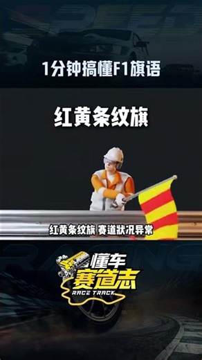 F1不同颜色的旗到底啥意思？ 一分钟带你看懂F1赛道上10面旗帜的全部含义。#f1 #赛车 #旗语 #围场内外 #懂车赛道志
