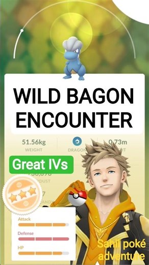 WILD BAGON ENCOUNTER||#pokemongo #pokemon #pokémon #pokémongo #bagon #salamence #wild #dailyincense