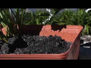 Stone Lock Application Video