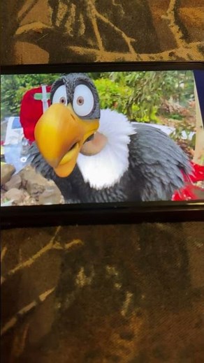 Rare the defeats buzz woody woodpecker goes camping ￼