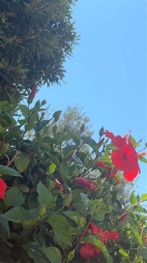 If you love Greece and Turkey, you'll want to add this island to your list 🇨🇾✨ | TUI