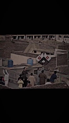 sgghfhbf (@sgghfhbf)’s videos with original sound - sgghfhbf