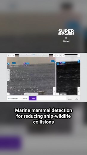 Ship-mounted marine mammal detection to help reduce wildlife harm. ➡️ Sea AI Insight uses computer vision and thermal cameras to detect marine mammals missed by radar or AIS systems. ➡️ Alerts crews to whales surfacing, reducing collision risks. ➡️ Enhances safety for sailors and protects marine ecosystems. ➡️ Developed by Sea AI, based in France, launched in 2019. | Super Innovators