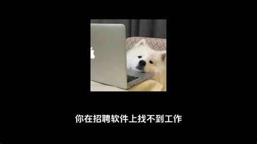 招聘软件的正确使用方法 #大学生 #求职 #找工作 #应届生 #应届生求职