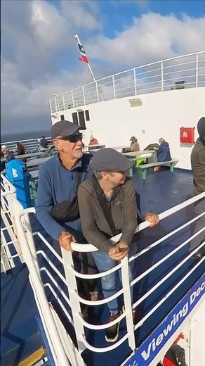 Day 3 of our NZ road trip: ferry to the South Island