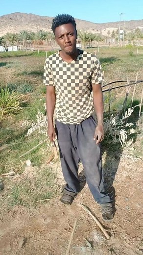 Abdii hin kutin | Musxafaa Taajuu
