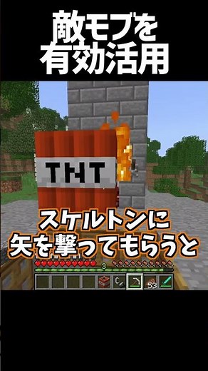 敵モブを有効活用!〇〇大量ゲット!!【マインクラフト】