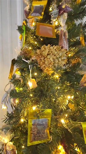 Go to Grayson's Festival of Trees and bid and vote on our Walking on Sunshine Wellness Spa & Shoppe - Grayson, KY tree! It is chock full of herbs, spices, herbal tea blends, simmer pot mixes, soaps, cinnamon sticks, rosebuds, lavender buds ........ lots of GOOD GOOD STUFF 😃 Explore Grayson Ky Grayson Main Street Grayson Area Chamber of Commerce Carter County Tourism Carter County Times Carter County News Group | Walking on Sunshine Wellness Spa & Shoppe - Grayson, KY