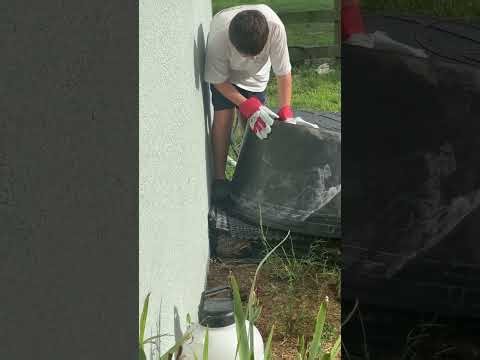 Catching a Poisonous Cane Toad #outdoors #nature #hunting #strongkids #freddyprice