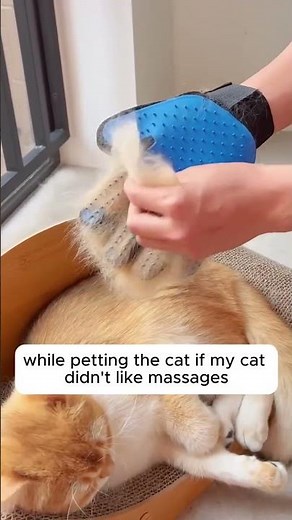 Give your pet the perfect groom with this Pet Hair Removal Gloves! 🐾✨