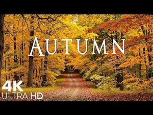 4K Beautiful Relaxing Music 🍁 Enchanting Autumn Nature Scenes with Forest Sounds & Peaceful Music #2