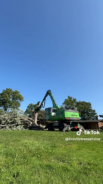kravitztreeservice on TikTok