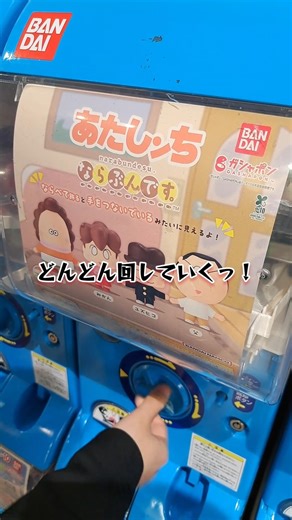 【ガチャ】もはや激レア？！タチバナ家の4人がガチャポンに登場！！コンプ目指して回してみたら… #あたしンち #atashinchi #gacha #ガチャガチャ #shorts