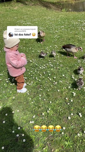 Child Feeding Ducks in a Serene Outdoor Setting
