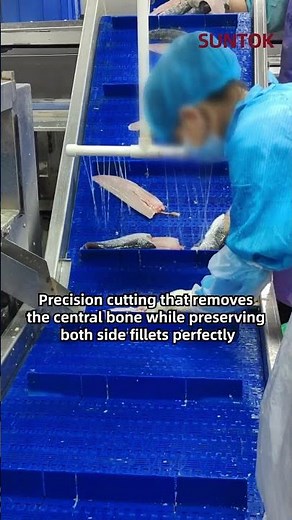Fish fillet processing line for factory