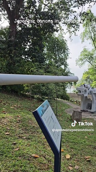 #singapore #japane #artillery #ww2 #ww2history