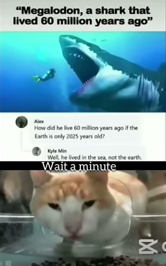 Use ts audio!!#memes#foryou#shorts#funny