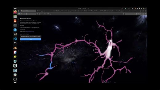 Gaussian splat neuron rendering v4 | Adrian Herbez