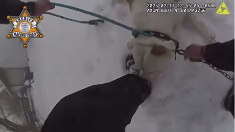 Michigan deputy saves dog chained outside of house that caught fire