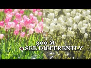 ColorSight – Understanding Color Blindness (4 Types) | Official Channel Intro
