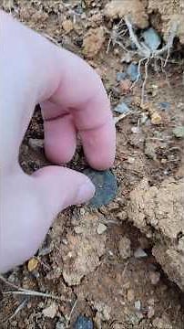 Metal Detecting: BACK FROM THE DEAD!