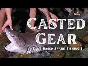 This CASTED RIG Catches SHARKS FROM SHORE