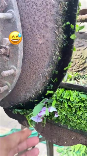 Popular TikTok Trends and Viral Videos